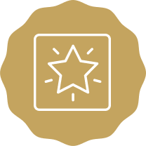 Custom Window Displays