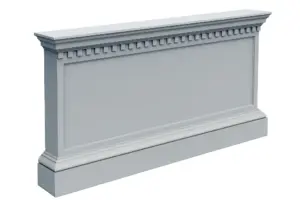 MS 038