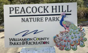 Sandblasted V Carved Signs 10